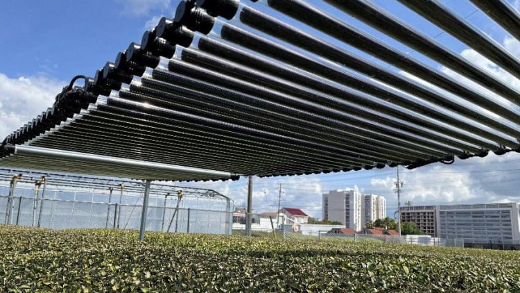 日本電氣通信大學開發圓柱形PSC　拚提升耐久度、加速商業化