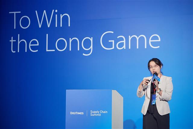 Deloitte Touche Tohmatsu risk advisory service vice president Cathy Lee