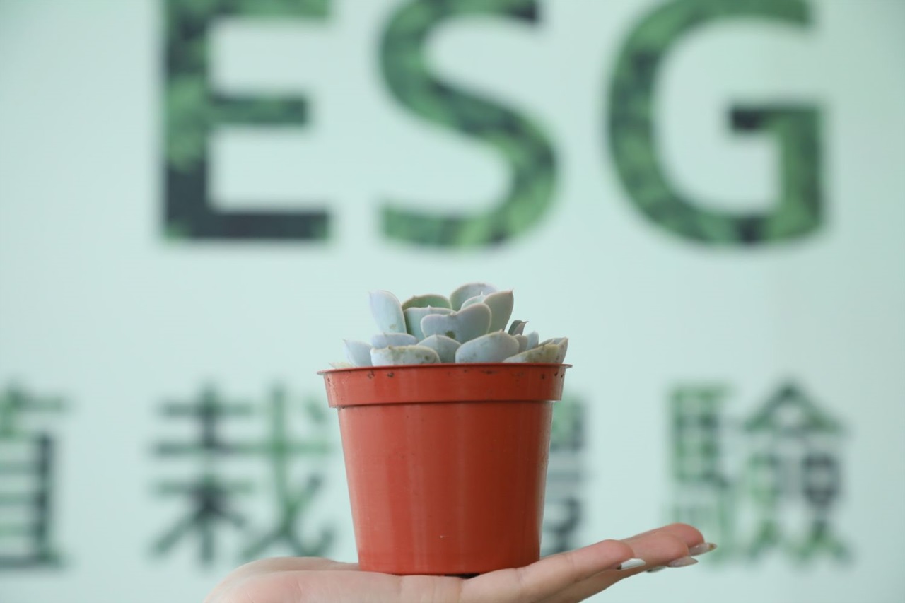 Tex Year sees promising hotmelt adhesive demand