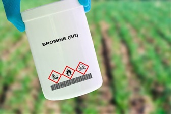 La dipendenza della Corea del Sud dal bromo israeliano minaccia la filiera dei chip