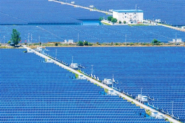 China's solar slump deepens, raising warning signs for energy storage and electric vehicles
