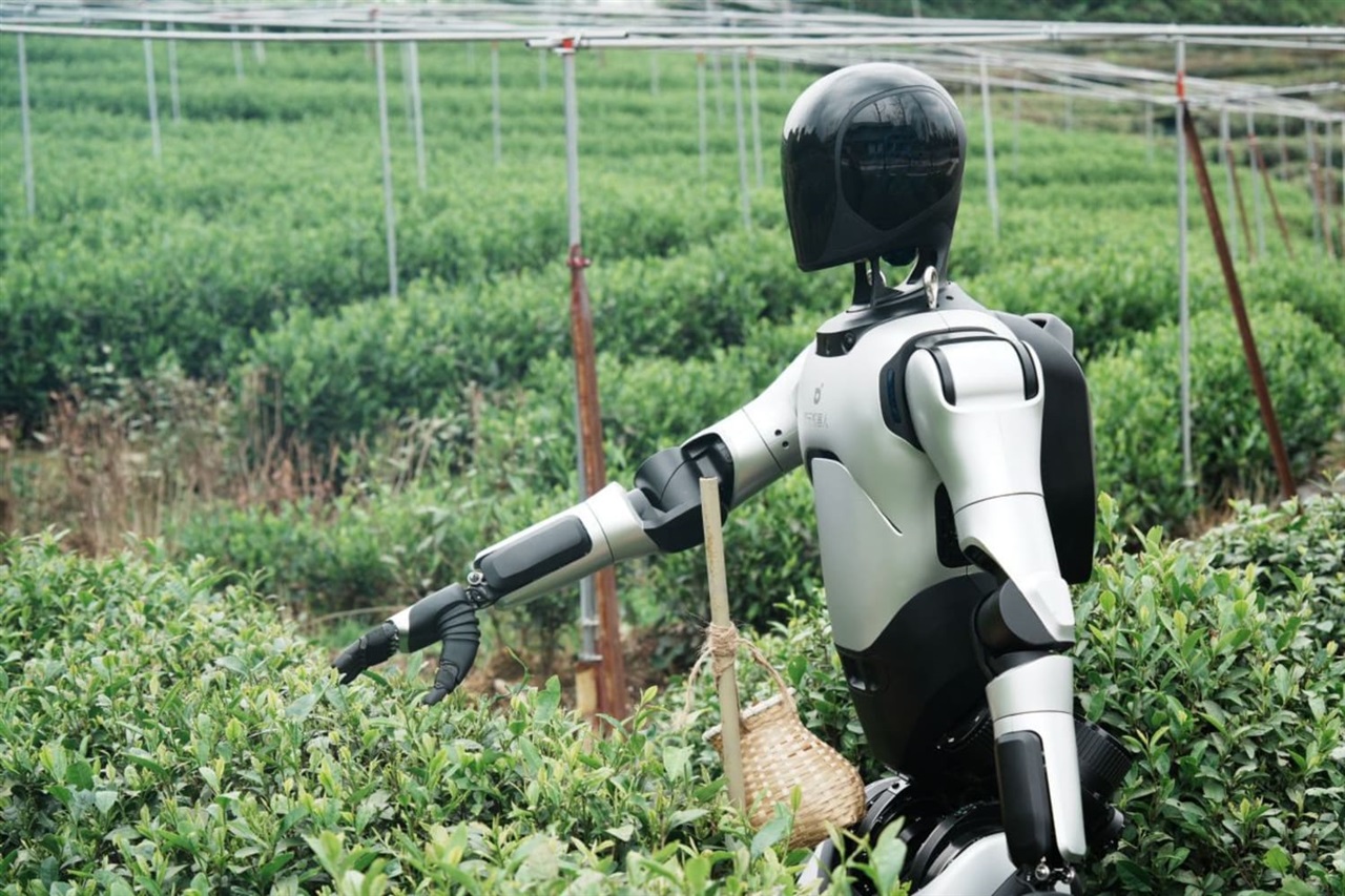 AgiBot overtakes Unitree as China expands its lead in humanoid robots