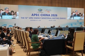 Taiwan's Ministry of Economic Affairs shares power grid experience at APEC Energy Ministerial Meeting