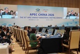 Taiwan's Ministry of Economic Affairs shares power grid experience at APEC Energy Ministerial Meeting